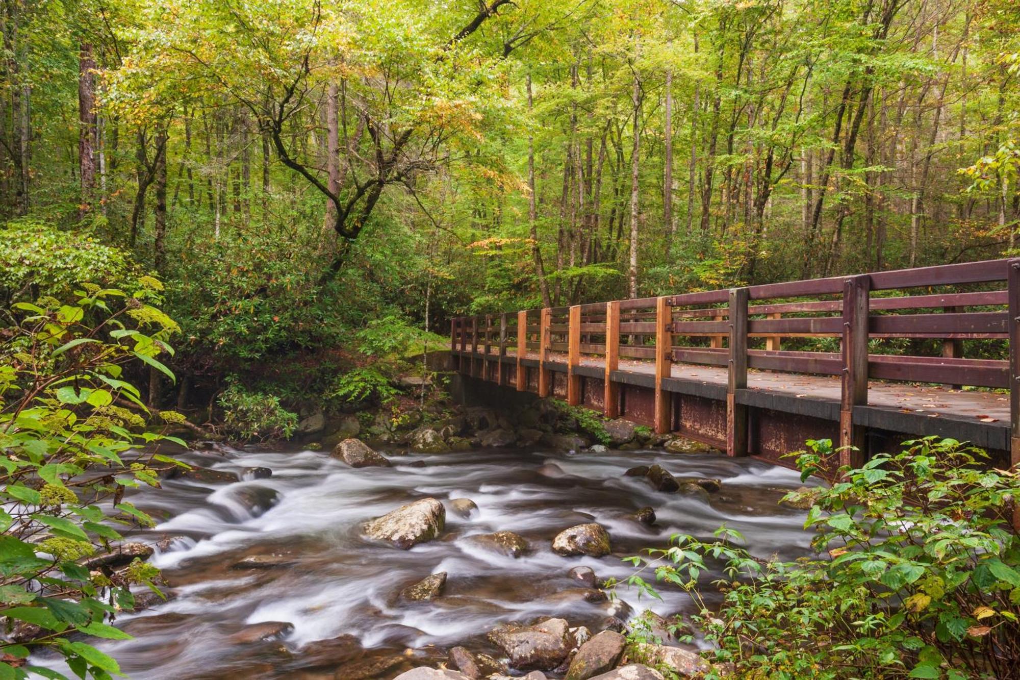Breathtaking View, Hot Tub, 1089 Of Free Attraction Tickets For Each Paid Day, Dollywood And More! سيفيرفيل المظهر الخارجي الصورة